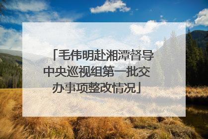 毛伟明赴湘潭督导中央巡视组第一批交办事项整改情况