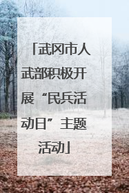 武冈市人武部积极开展“民兵活动日”主题活动