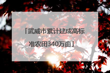 武威市累计建成高标准农田340万亩