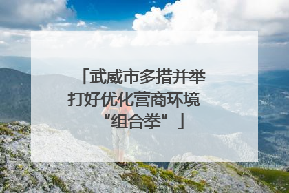 武威市多措并举打好优化营商环境“组合拳”