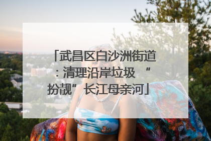 武昌区白沙洲街道：清理沿岸垃圾 “扮靓”长江母亲河