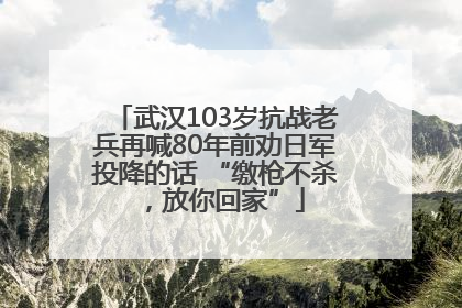 武汉103岁抗战老兵再喊80年前劝日军投降的话 “缴枪不杀，放你回家”