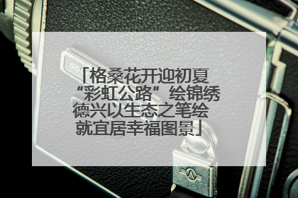 格桑花开迎初夏 “彩虹公路”绘锦绣 德兴以生态之笔绘就宜居幸福图景