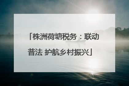 株洲荷塘税务：联动普法 护航乡村振兴