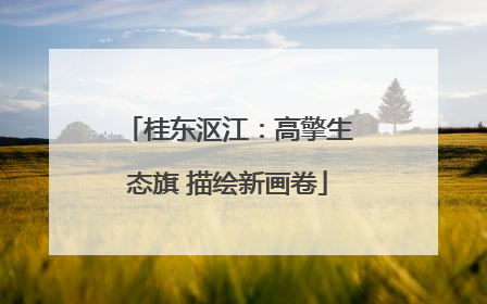 桂东沤江：高擎生态旗 描绘新画卷