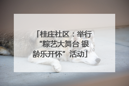 桂庄社区：举行“粽艺大舞台 银龄乐开怀”活动