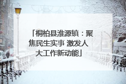 桐柏县淮源镇：聚焦民生实事 激发人大工作新动能