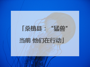 桑植县：“猛兽”当前 他们在行动