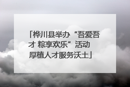 桦川县举办“吾爱吾才 粽享欢乐”活动 厚植人才服务沃土