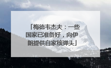 梅德韦杰夫：一些国家已准备好，向伊朗提供自家核弹头