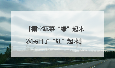 棚室蔬菜“绿”起来 农民日子“红”起来
