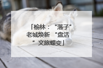 榆林：“落子”老城焕新 “盘活”文旅蝶变