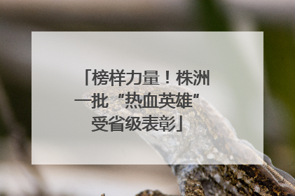 榜样力量！株洲一批“热血英雄”受省级表彰
