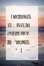 欧盟前高官：投在加沙的炸弹半数“欧洲造”