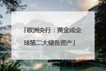 欧洲央行：黄金成全球第二大储备资产