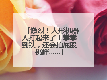 激烈！人形机器人打起来了！拳拳到铁，还会拍屁股挑衅……