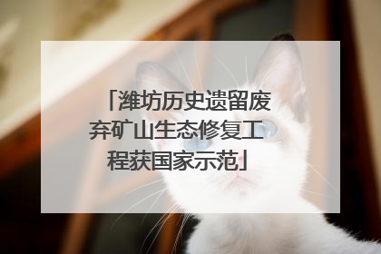 潍坊历史遗留废弃矿山生态修复工程获国家示范