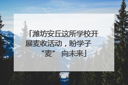 潍坊安丘这所学校开展麦收活动，盼学子 “麦” 向未来