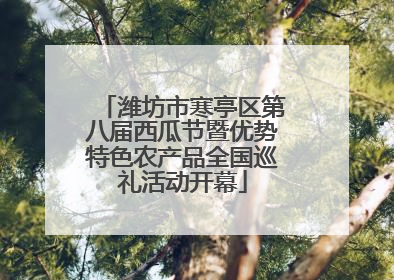 潍坊市寒亭区第八届西瓜节暨优势特色农产品全国巡礼活动开幕