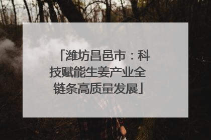 潍坊昌邑市：科技赋能生姜产业全链条高质量发展