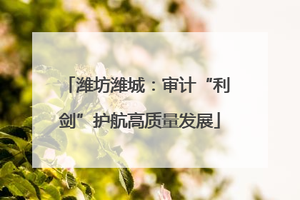 潍坊潍城：审计“利剑”护航高质量发展