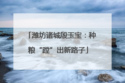 潍坊诸城殷玉宝：种粮“蹚”出新路子