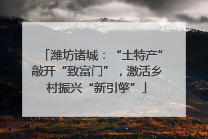 潍坊诸城：“土特产”敲开“致富门”，激活乡村振兴“新引擎”