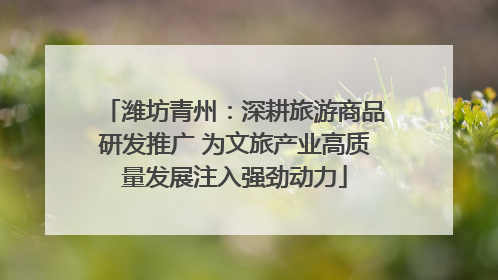 潍坊青州：深耕旅游商品研发推广 为文旅产业高质量发展注入强劲动力