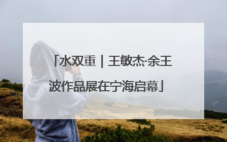 水双重｜王敏杰·余王波作品展在宁海启幕