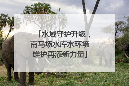 水域守护升级，南马场水库水环境维护再添新力量