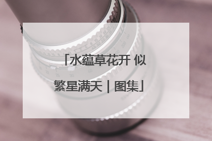 水蕴草花开 似繁星满天｜图集