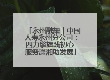永州融耀丨中国人寿永州分公司：四力擎旗践初心 服务潇湘助发展
