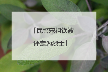 民警宋祖钦被评定为烈士