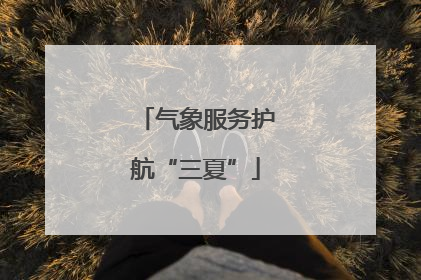 气象服务护航“三夏”