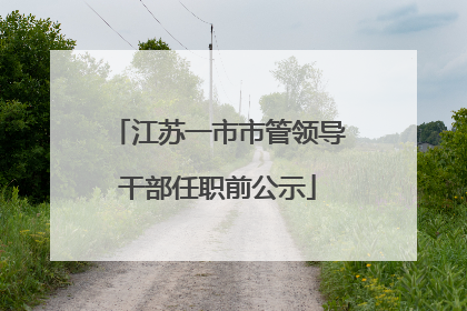 江苏一市市管领导干部任职前公示
