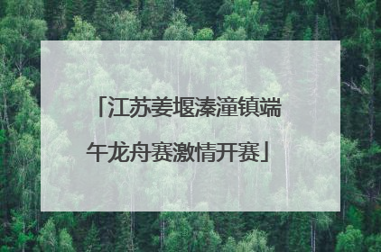 江苏姜堰溱潼镇端午龙舟赛激情开赛