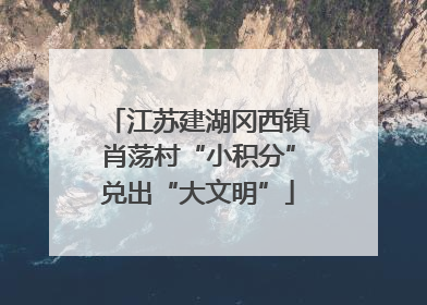 江苏建湖冈西镇肖荡村“小积分”兑出“大文明”
