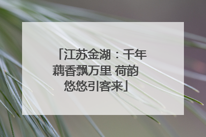 江苏金湖：千年藕香飘万里 荷韵悠悠引客来