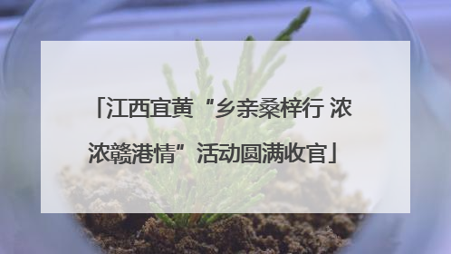 江西宜黄“乡亲桑梓行 浓浓赣港情”活动圆满收官