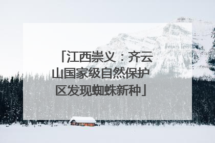 江西崇义：齐云山国家级自然保护区发现蜘蛛新种