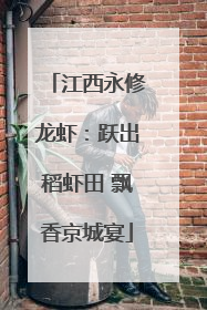 江西永修龙虾：跃出稻虾田 飘香京城宴