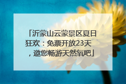 沂蒙山云蒙景区夏日狂欢：免票开放23天，邀您畅游天然氧吧