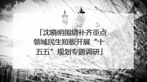 沈晓明围绕补齐重点领域民生短板开展“十五五”规划专题调研