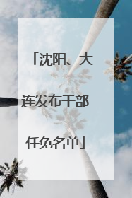 沈阳、大连发布干部任免名单