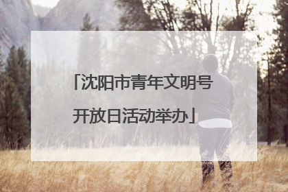 沈阳市青年文明号开放日活动举办