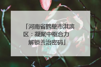 河南省鹤壁市淇滨区：凝聚中枢合力 解锁善治密码