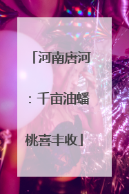 河南唐河：千亩油蟠桃喜丰收