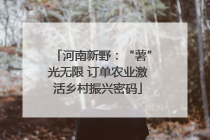 河南新野：“薯”光无限 订单农业激活乡村振兴密码