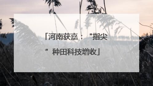 河南获嘉：“指尖”种田科技增收