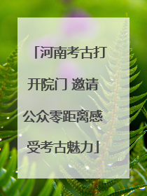 河南考古打开院门 邀请公众零距离感受考古魅力